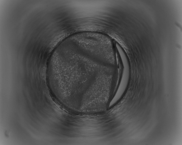 X0000091370434200709071329