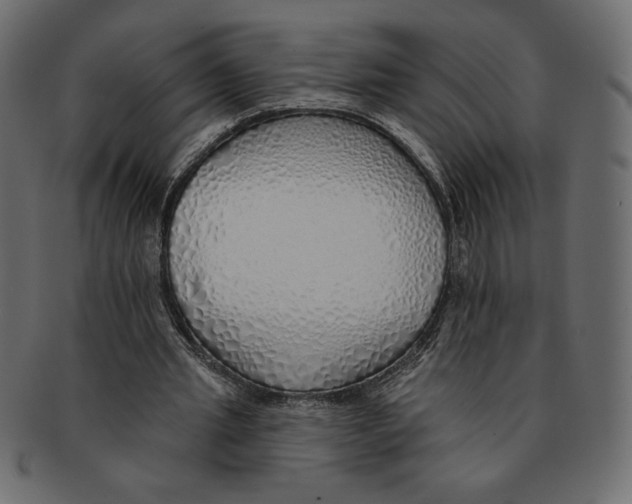 X0000091370437200709071329