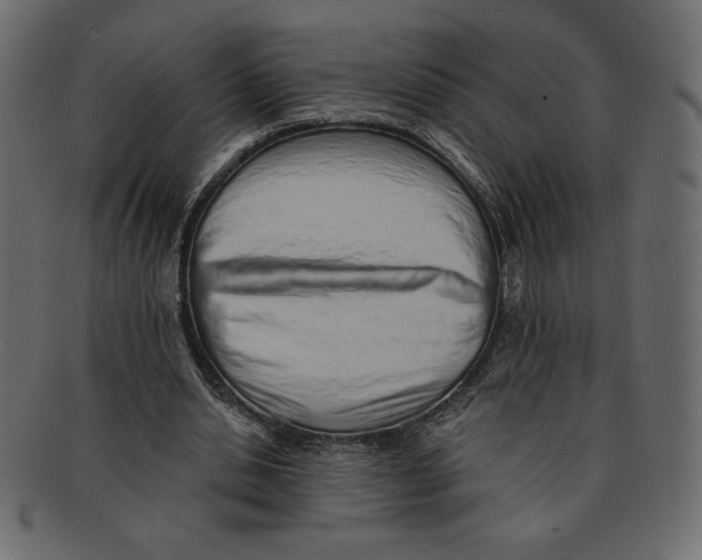 X0000091370438200709071329