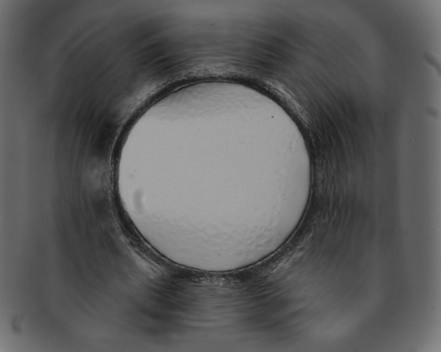 X0000091370439200709071329