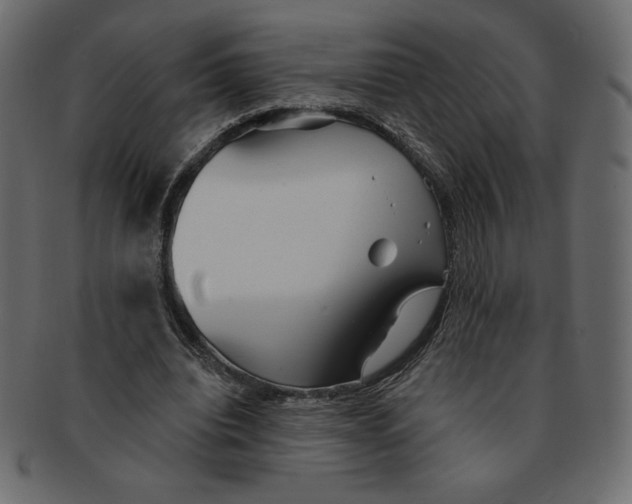 X0000091370440200709071329