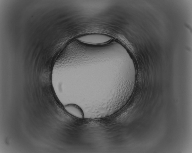 X0000091370441200709071329