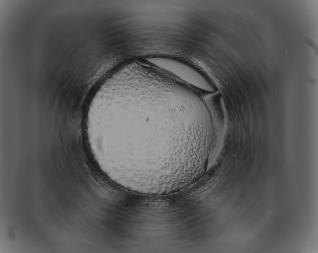 X0000091370443200709071330