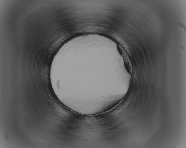 X0000091370445200709071330