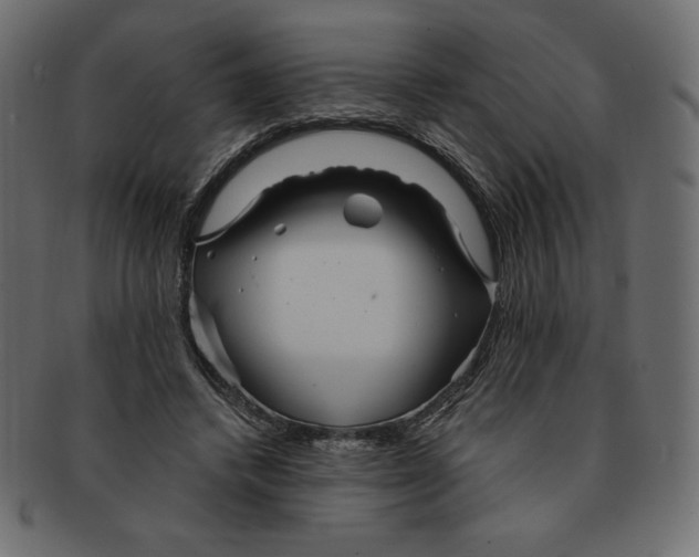 X0000091370448200709071330