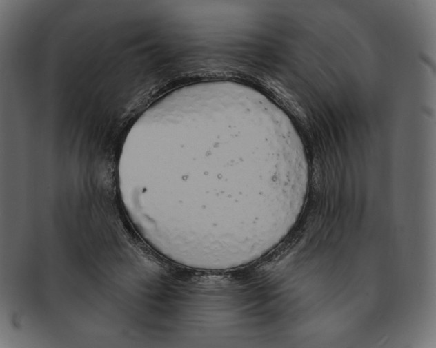 X0000091370449200709071330