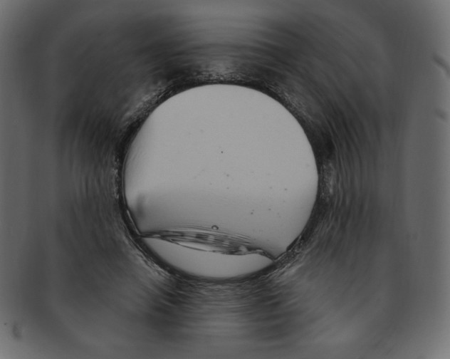 X0000091370450200709071330