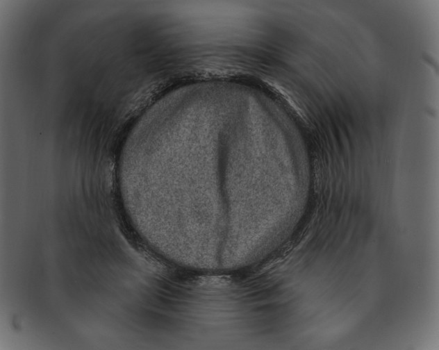 X0000091370451200709071330