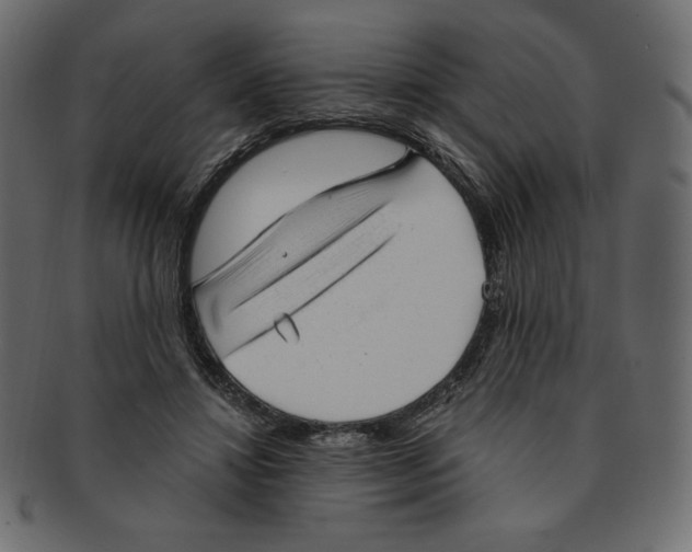 X0000091370452200709071330