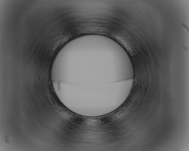 X0000091370453200709071330