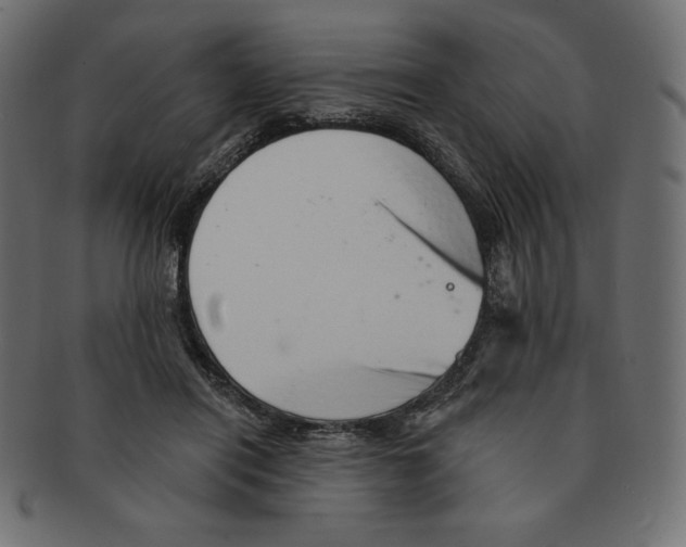 X0000091370454200709071330