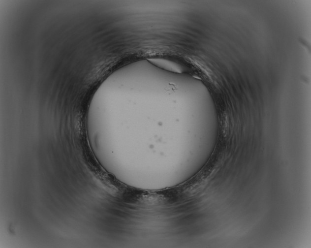 X0000091370455200709071330