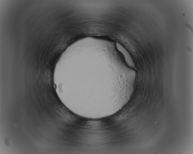 X0000091370457200709071330