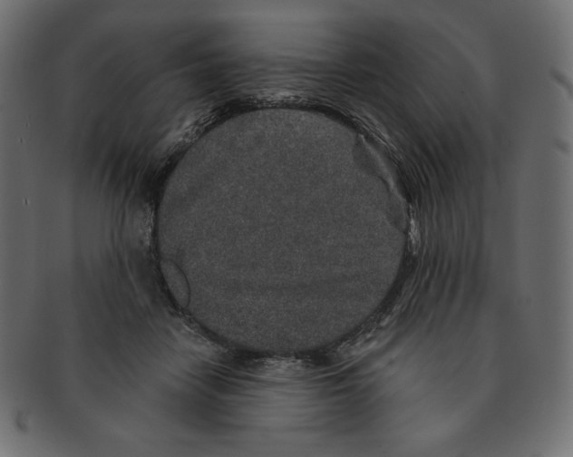 X0000091370458200709071330