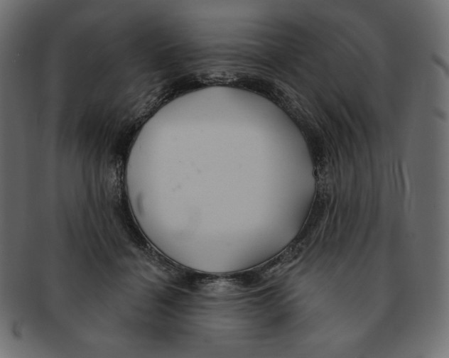 X0000091370460200709071330