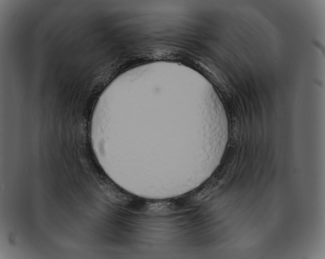 X0000091370461200709071330