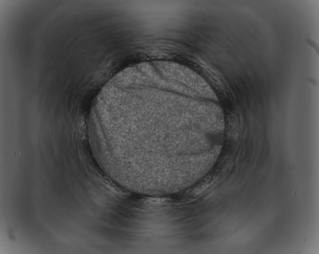 X0000091370465200709071330