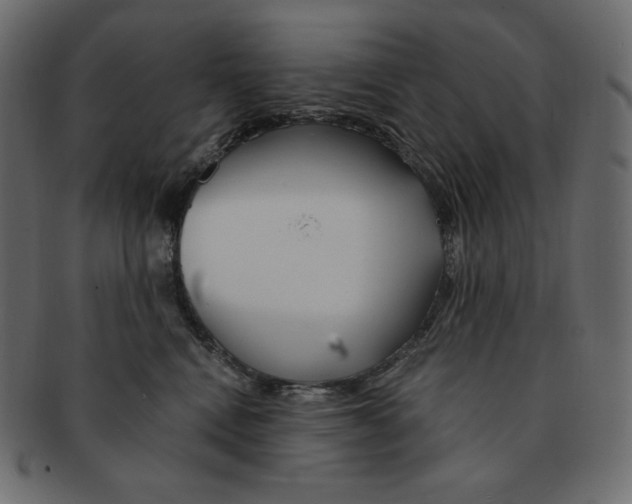 X0000091370472200709071330