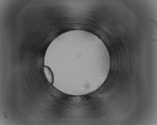 X0000091370473200709071330