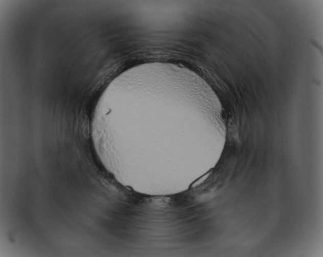 X0000091370474200709071330