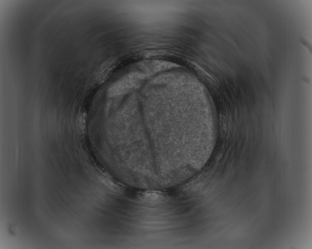 X0000091370475200709071330