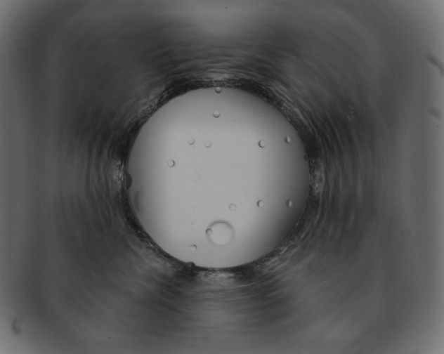 X0000091370476200709071330