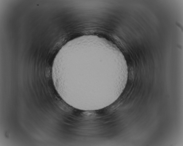 X0000091370477200709071330