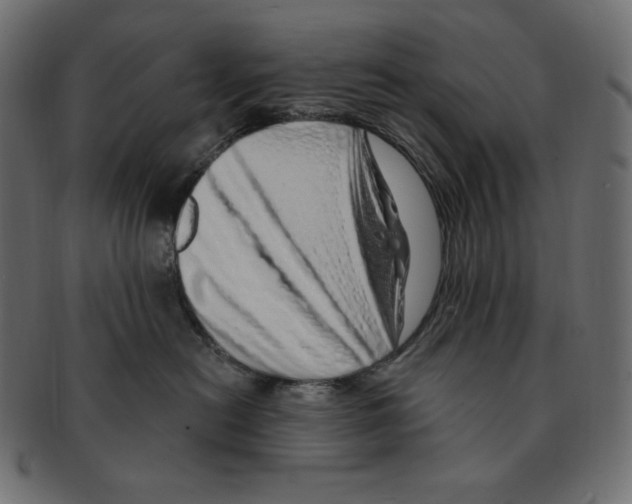 X0000091370478200709071330