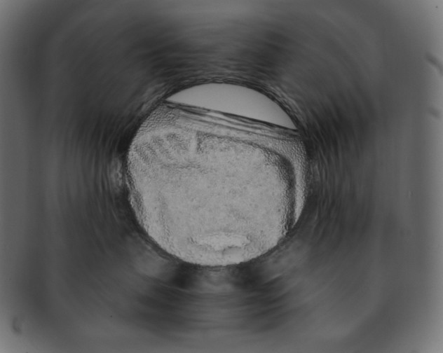 X0000091370479200709071330