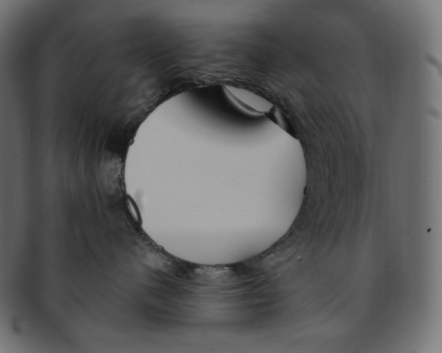 X0000091370480200709071330