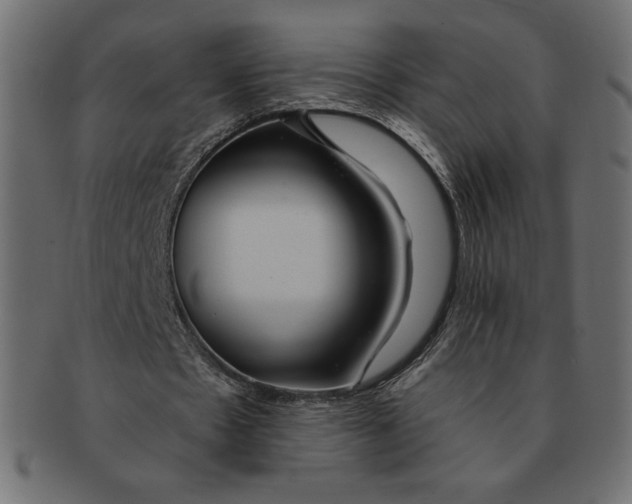 X0000091370481200709071329