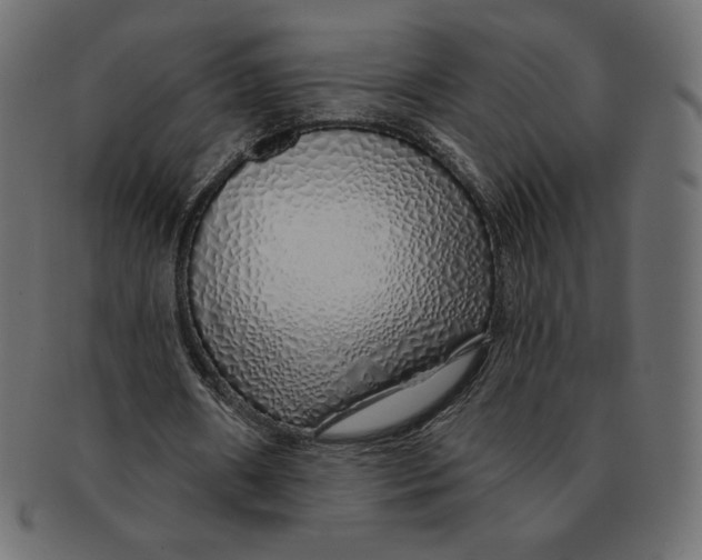 X0000091370482200709071329