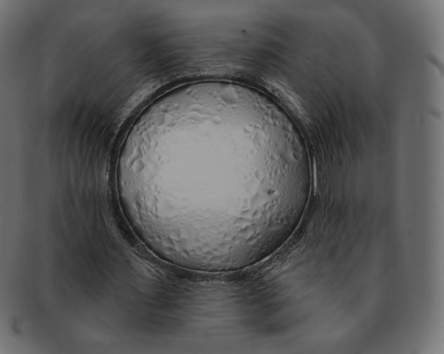 X0000091370483200709071329