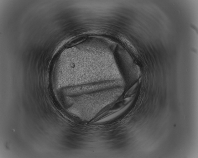 X0000091370484200709071329