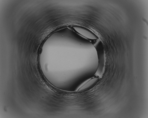 X0000091370485200709071329