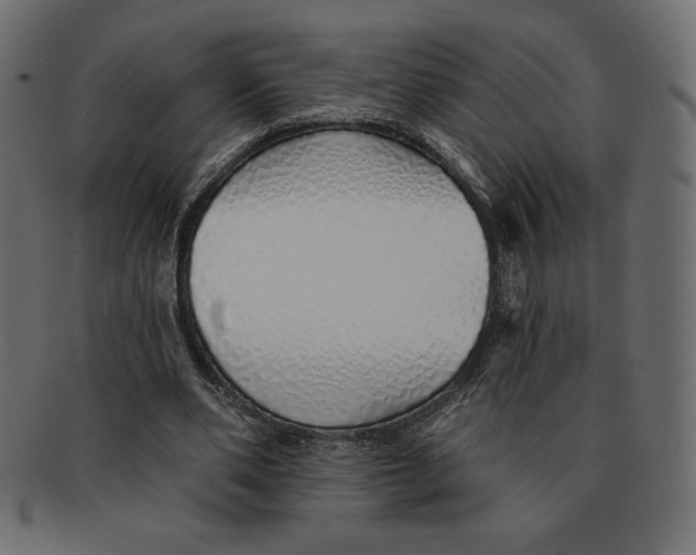 X0000091370486200709071329