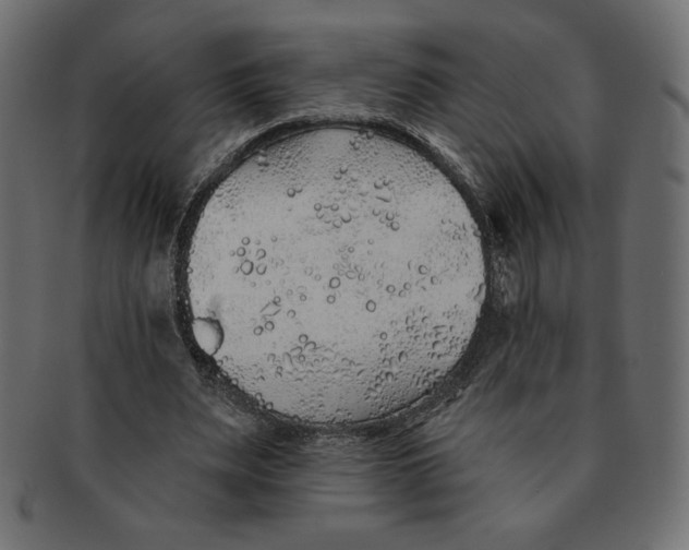 X0000091370487200709071329