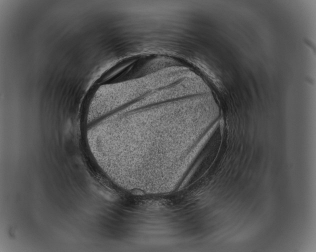 X0000091370488200709071329