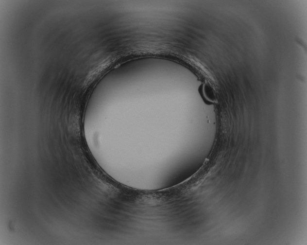 X0000091370489200709071329