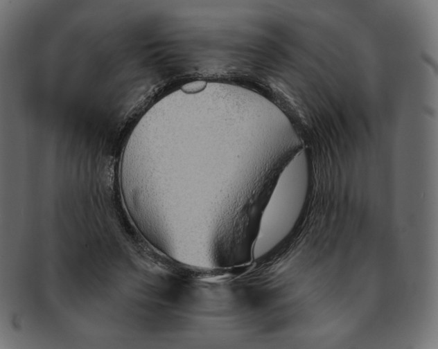 X0000091370495200709071329