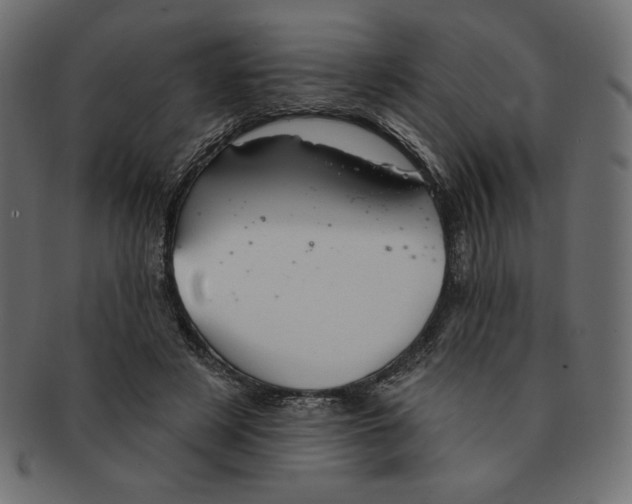 X0000091370497200709071329