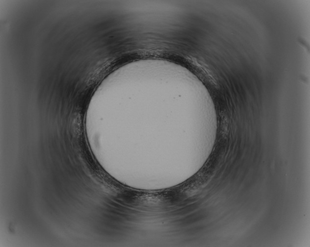 X0000091370498200709071329