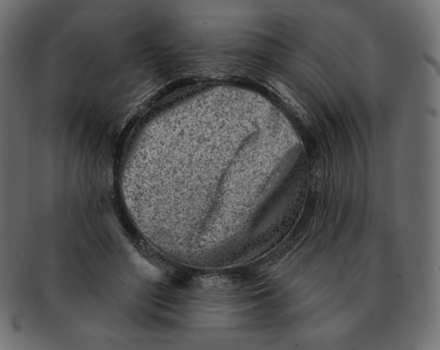 X0000091370500200709071329