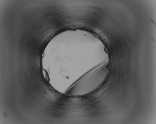 X0000091370501200709071329