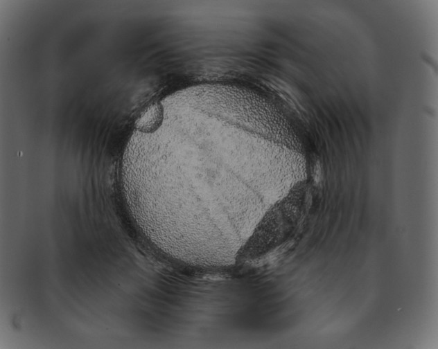 X0000091370503200709071329