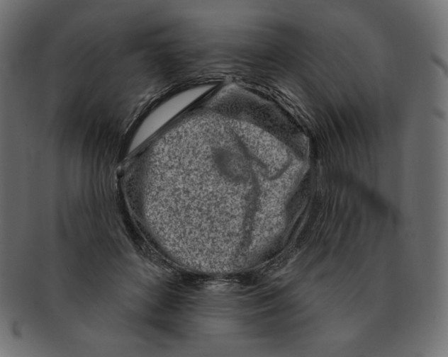 X0000091370504200709071329