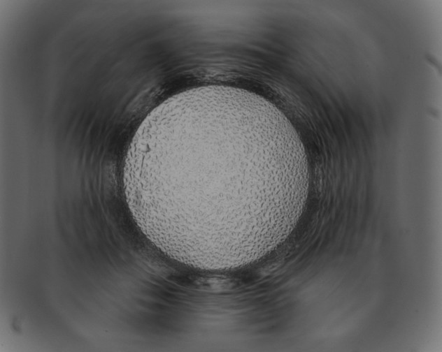 X0000091370506200709071329