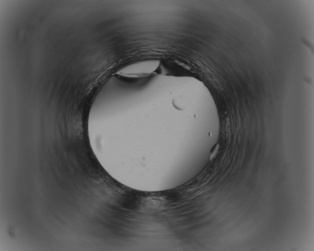 X0000091370508200709071329