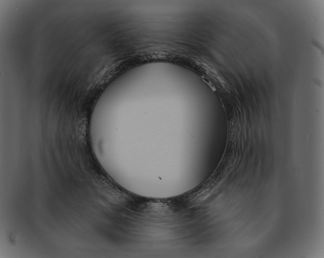 X0000091370509200709071329