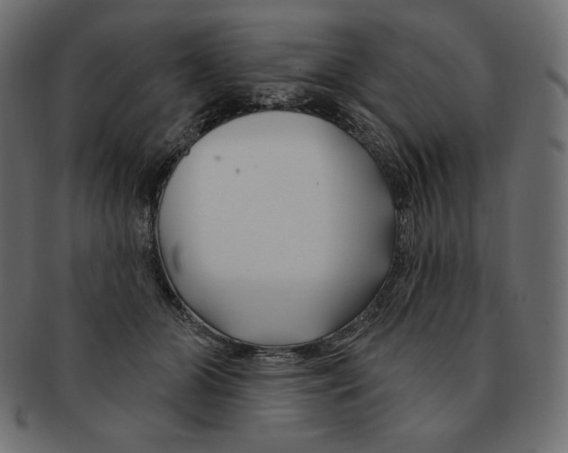 X0000091370510200709071329